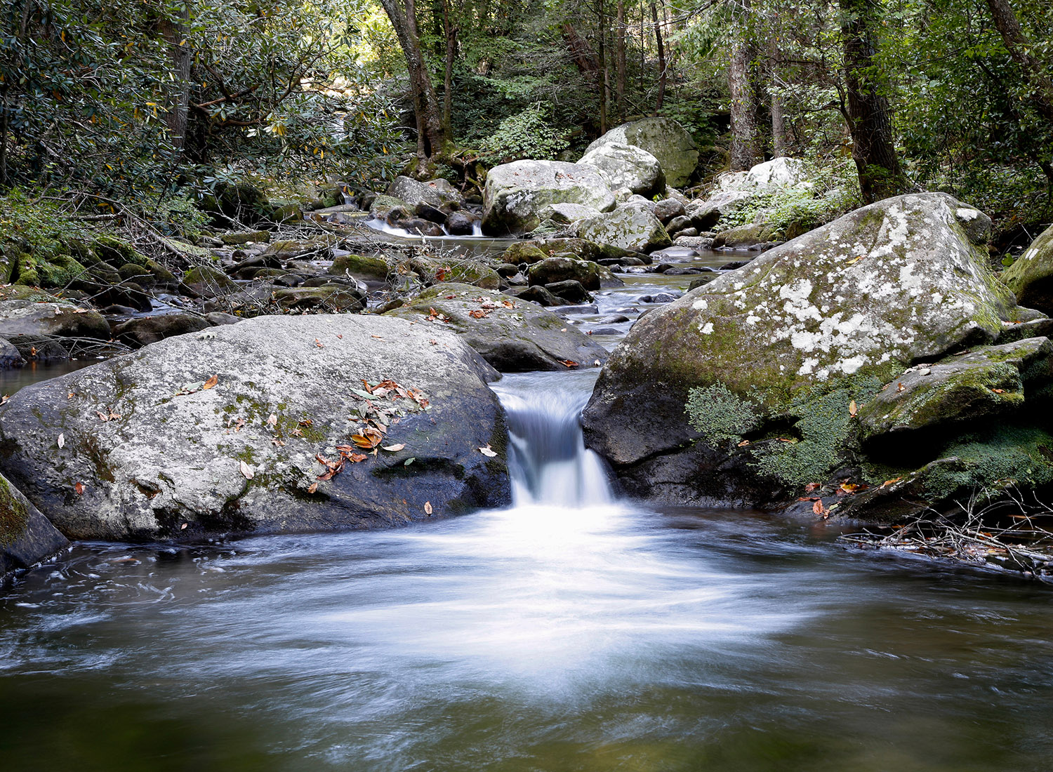 The Palmetto Trail in Walhalla, Ocenee Passage and Blue Ridge Electric Co-op Passage Wednesday, Sept. 21, 2017 in South Carolina. 