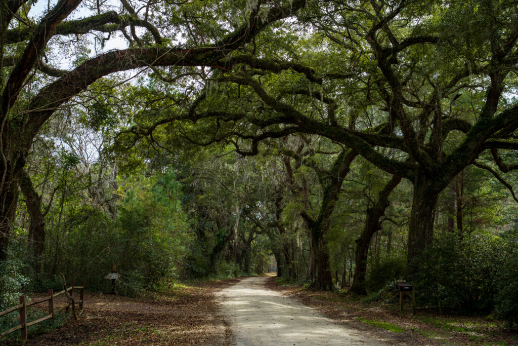 portion of the King's Highway