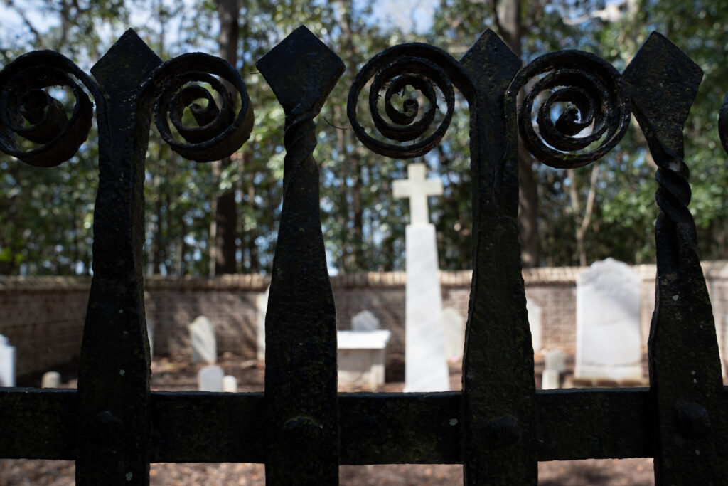 closeup of iron fence