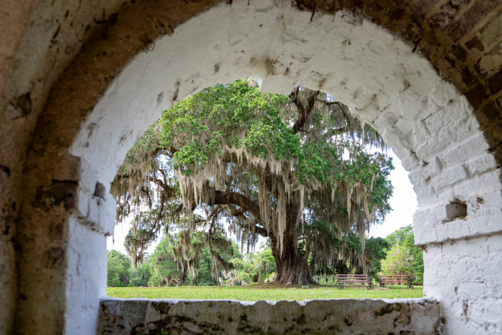 Hampton plantation