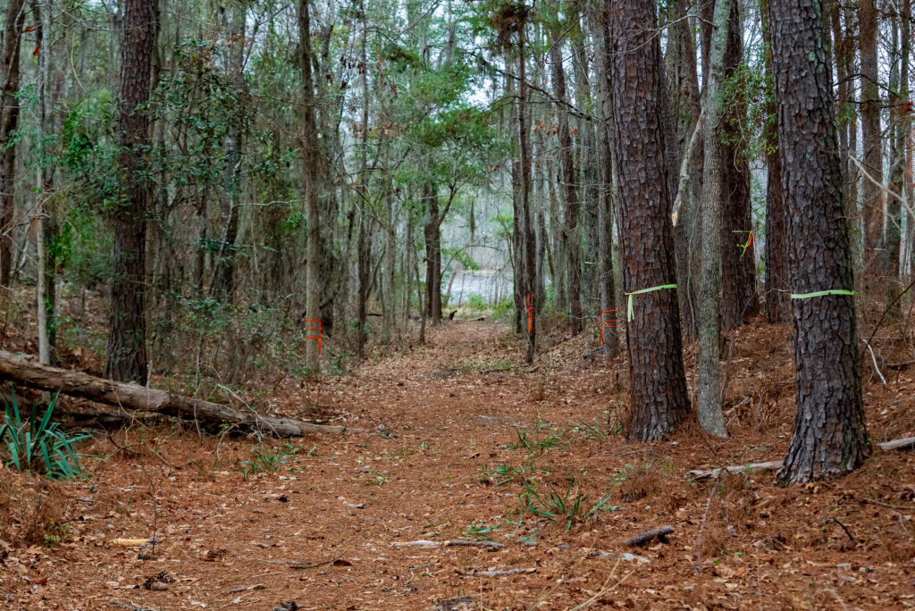 Eutaw Springs Battlefield